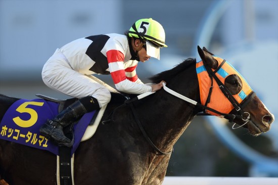 2015年 川崎記念優勝馬 ホッコータルマエ